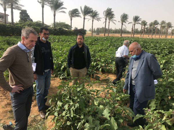 Orange Knowledge Program Egypt
