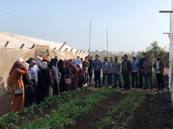 Orange Knowledge Program Egypt