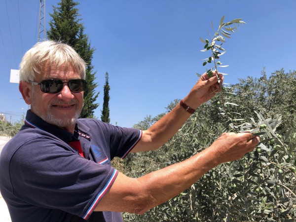 Innovating the value chain of Palestinian olives