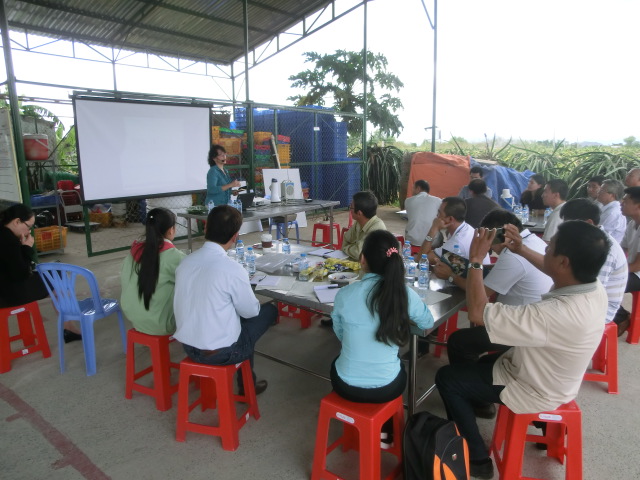 Export coaching Vietnamese fresh fruit