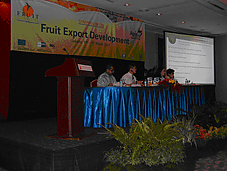 Indonesian fruit export