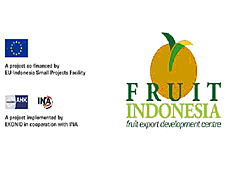 Indonesian fruit export