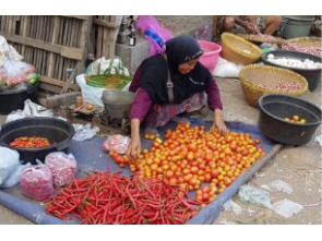 Agro-logistics Eastern Indonesia